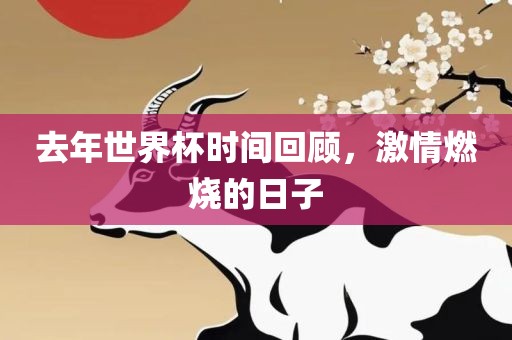 去年世界杯时间回顾，激情燃烧眉山市正发家政服务有限公司的日子
