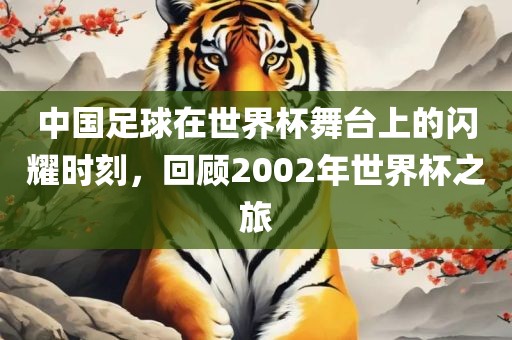 中国足球在世界杯舞台上的闪耀时刻，回顾2002年世界杯之旅