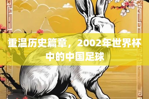 重温历史篇章，2002年世界杯中的中国足眉山市正发家政服务有限公司球