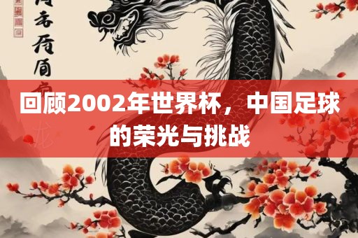 回顾2002年世界杯，中国足球的荣光与挑战眉山市正发家政服务有限公司