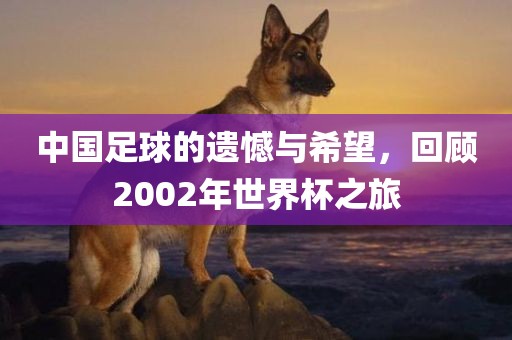 中国足球的遗憾与希望，回顾2002年世界杯之旅眉山市正发家政服务有限公司