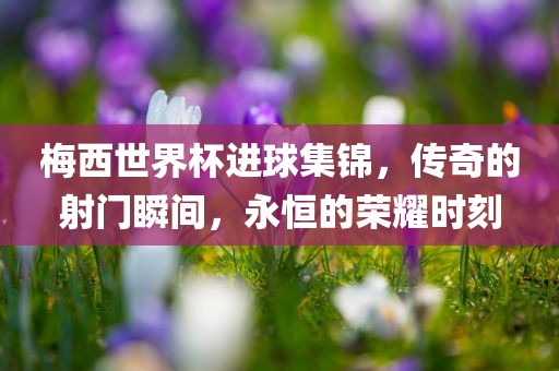 梅西世界杯进球集锦，传奇的射门瞬间，永恒的荣耀时刻眉山市正发家政服务有限公司