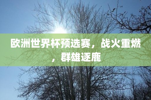 欧洲世界杯预选赛，战火重燃，群雄逐鹿眉山市正发家政服务有限公司