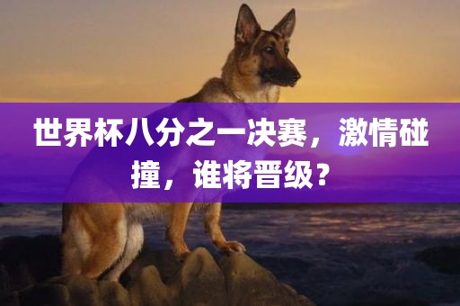 世界杯八分之一决赛，激情碰撞，谁将晋级？
