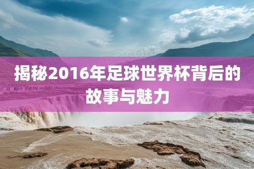 揭秘2016年足球世界杯背后的故事与魅力眉山市正发家政服务有限公司