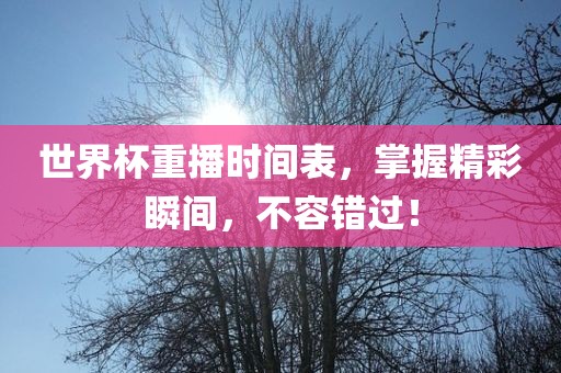 世界杯重播时间表，掌握精彩瞬间，不容错过！眉山市正发家政服务有限公司