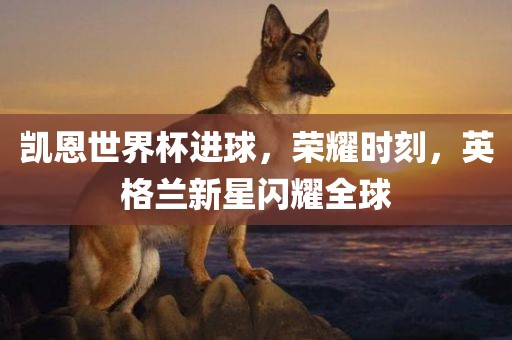 凯恩世界杯进球，荣耀时刻，英格兰新星闪耀全球