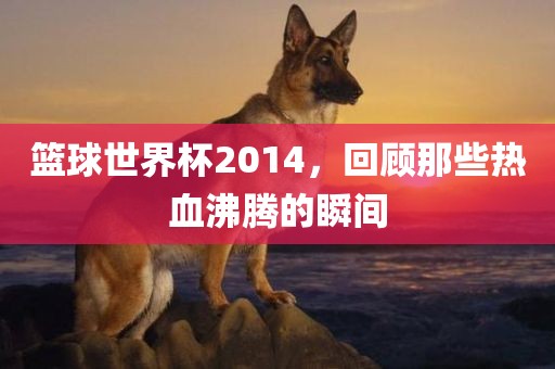 篮球世界杯2014，回顾那些眉山市正发家政服务有限公司热血沸腾的瞬间