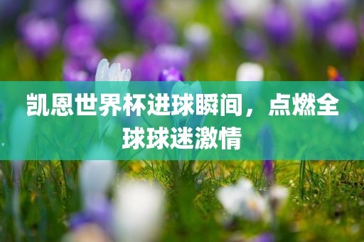 凯恩世界杯进球瞬间，点燃全球球迷激情眉山市正发家政服务有限公司