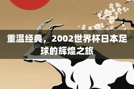 重温经典，2002世界杯日本足球的辉煌之旅眉山市正发家政服务有限公司