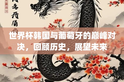 世界杯韩国与葡萄牙的巅峰对决，回顾历史，展望未来眉山市正发家政服务有限公司