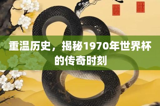 重温历史，揭秘1970年世界杯的传奇时刻眉山市正发家政服务有限公司