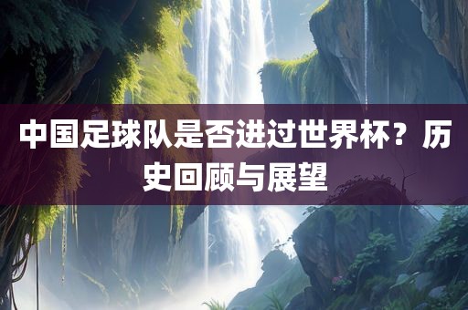 中国足球队是否进过世界杯？历史回顾与展望