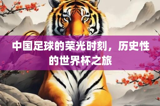 中国足球的荣光时刻，历史性的世界杯之旅眉山市正发家政服务有限公司