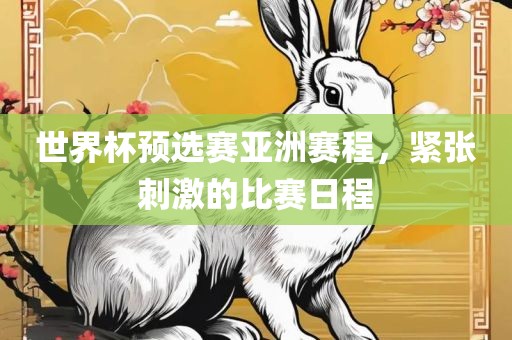 世界杯预选赛亚洲赛程，紧张刺激的比赛日程眉山市正发家政服务有限公司