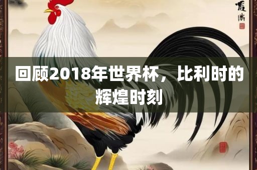 回顾2018年世界杯，比利时的辉煌时刻眉山市正发家政服务有限公司