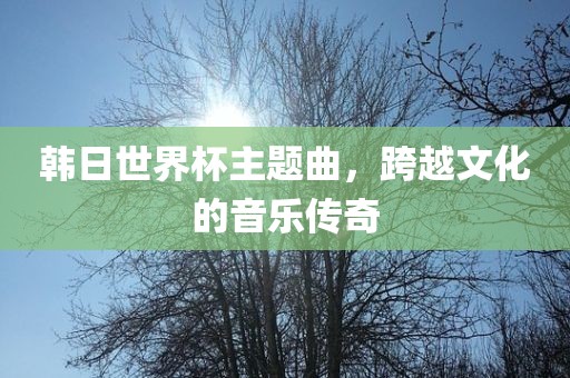 韩日世界杯主题曲，跨越文化的音乐传奇