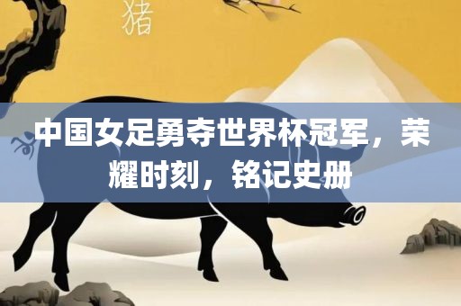 中国女足勇夺世界杯冠军，荣耀时刻，眉山市正发家政服务有限公司铭记史册