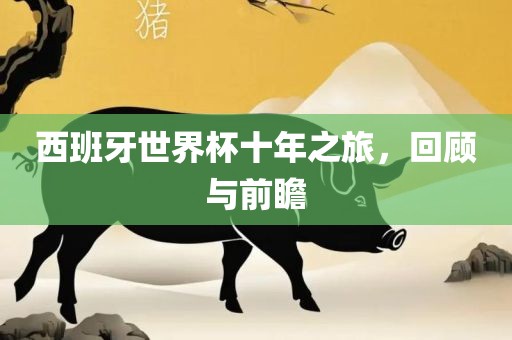 西班牙世界杯十年之旅，回顾与前瞻