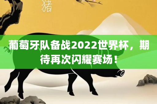 葡萄牙队备战2022世界杯，期待再次闪耀赛场！