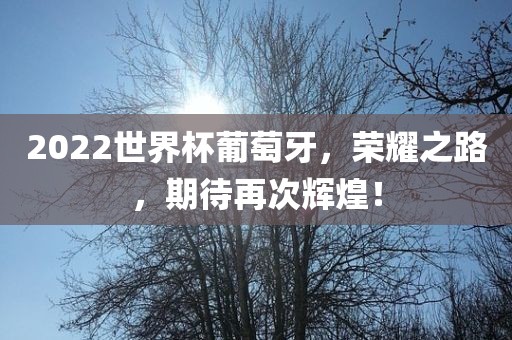 2022世界杯葡萄牙，荣耀之路，期待再次辉煌！眉山市正发家政服务有限公司