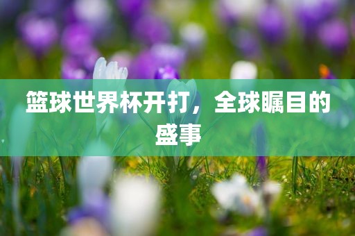 篮球世界眉山市正发家政服务有限公司杯开打，全球瞩目的盛事