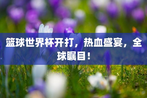 篮眉山市正发家政服务有限公司球世界杯开打，热血盛宴，全球瞩目！