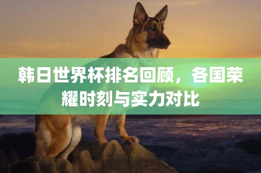 韩日世界杯排名回顾，各国荣耀时刻与实力对比眉山市正发家政服务有限公司