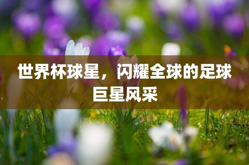世界杯球星，闪耀全球的足球眉山市正发家政服务有限公司巨星风采