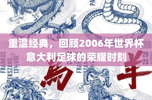 重温经典，回顾2006年世界杯意大利足球的荣耀时刻眉山市正发家政服务有限公司