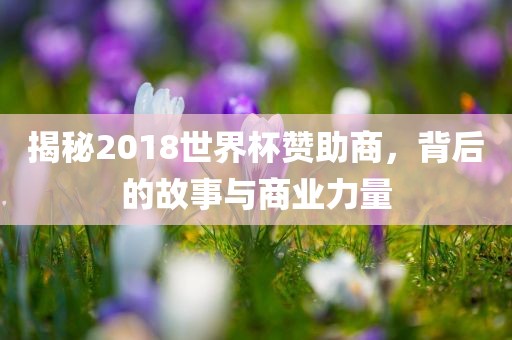 揭秘2018世界杯赞助商，背后眉山市正发家政服务有限公司的故事与商业力量