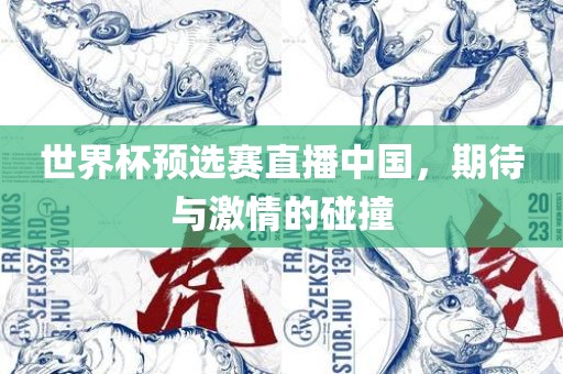 世界杯预选赛直播中国，期待与激情的碰撞