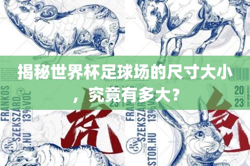 揭秘世界杯足球场的尺寸大小，究竟有多大？