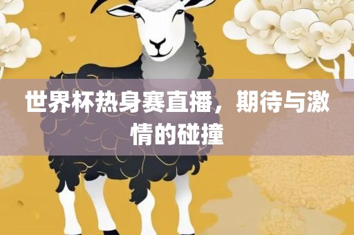 世界杯热身赛直播，期待与激情的碰撞