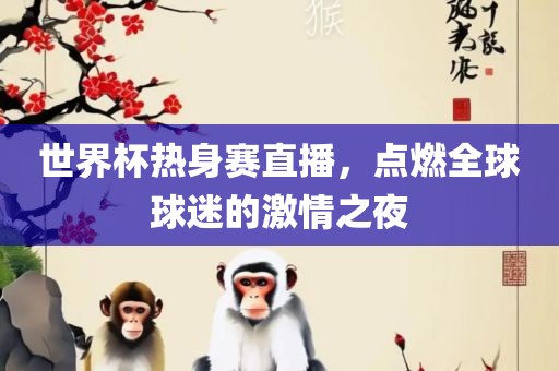 世界杯热身赛直播，点燃全球球迷的激情之夜眉山市正发家政服务有限公司