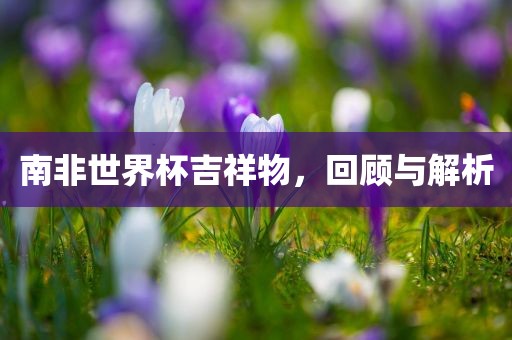 南非世界杯吉祥物，回顾与解析