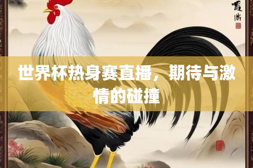 世界杯热身赛直播，期待与激情的碰撞