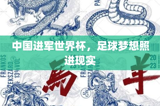中国进军世界杯，足球梦想照进现实