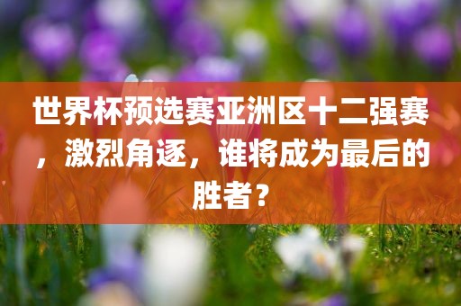 世界杯预选赛亚洲区十二强赛，激烈角逐，谁将成为最后的胜者？眉山市正发家政服务有限公司
