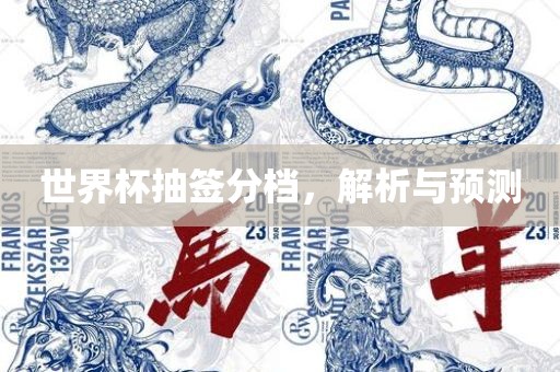 世界杯抽签分档，解析与预测眉山市正发家政服务有限公司