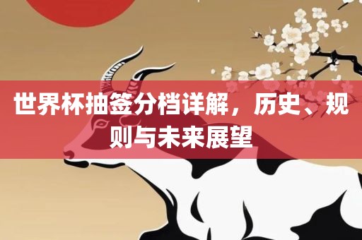 世界杯抽签分档详解，历史、规则与未来展望