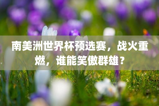 南美洲世界杯预选赛，战火重燃，谁能笑傲群雄？眉山市正发家政服务有限公司