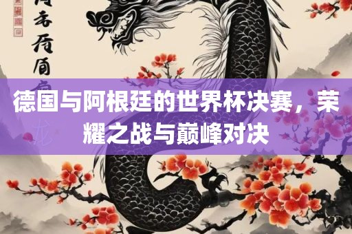 德国与阿根廷的世界杯决赛，荣耀之战与巅峰对决眉山市正发家政服务有限公司