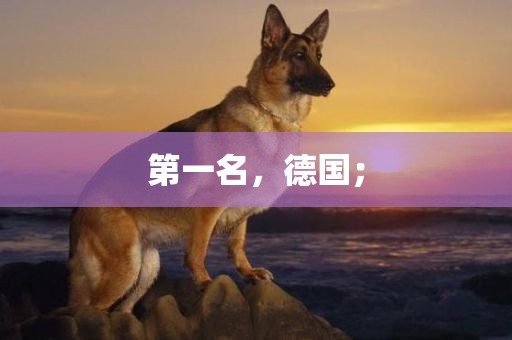 第一名，德国；眉山市正发家政服务有限公司