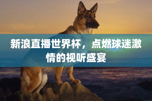 新浪直播世界杯，点燃球迷激情的视听盛宴眉山市正发家政服务有限公司