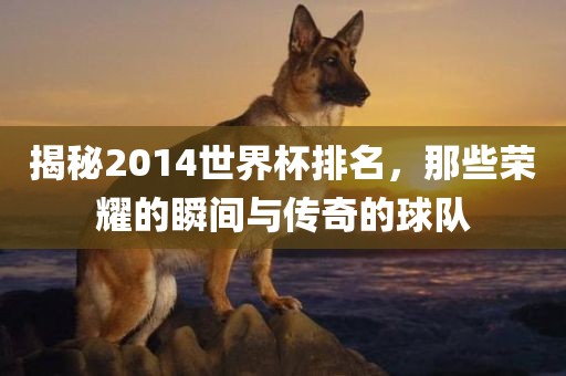 揭秘2014世界杯排名，那些荣耀的瞬眉山市正发家政服务有限公司间与传奇的球队