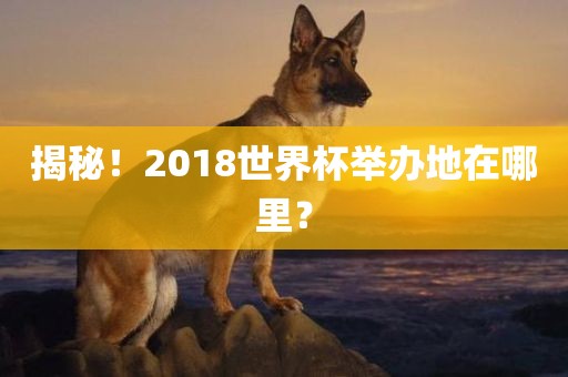 揭秘！2018世界杯举办地在哪里？
