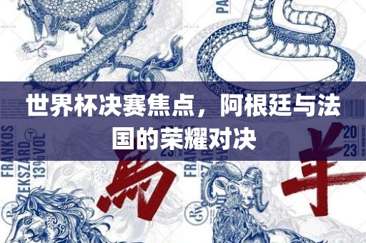 世界杯决赛焦点，阿根廷与法国的荣耀对决眉山市正发家政服务有限公司