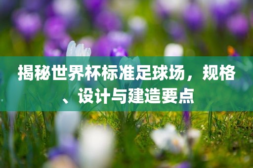 揭秘世界杯标准足球场，规格、设计与建造要点眉山市正发家政服务有限公司