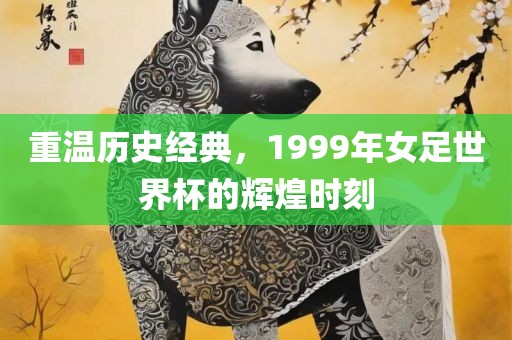 重温历史经典，1999年女足世界杯的辉煌时刻